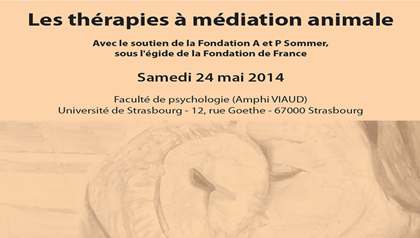 therapies_mediation_animale
